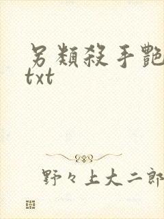 另类杀手艳福星txt