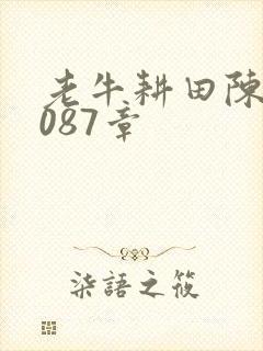老牛耕田陈雪1087章