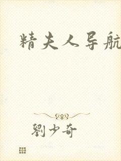 精夫人导航