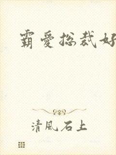 霸爱总裁好生猛