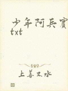 少年阿兵宾小说txt