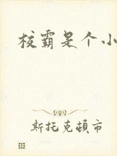 校霸是个小妖精