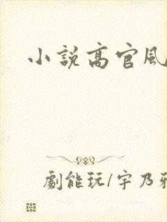 小说高官风流