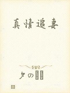 真情追妻