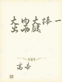 大肉大捧一进一出两腿