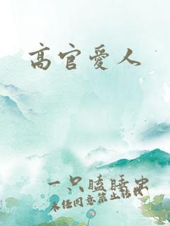 高官爱人