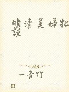 明清美妇牝户小说