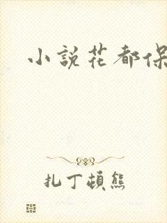小说花都保镖