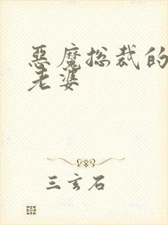 恶魔总裁的宝贝老婆