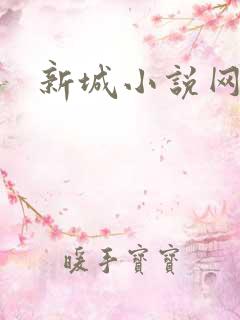 新城小说网