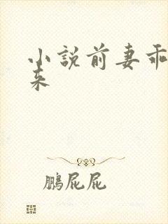 小说前妻乖乖回来