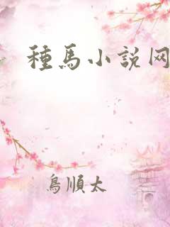 种马小说网