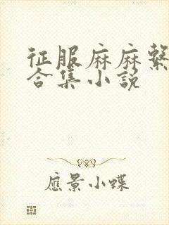 征服麻麻系列大合集小说