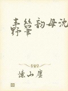 丰丝韵母沈蓉书野笔