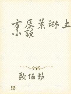 方辰叶琳上官步小说