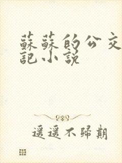 苏苏的公交车日记小说