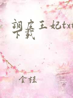 调皮王妃txt下载
