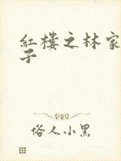 红楼之林家庶长子