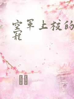 空军上校的邪魅宠