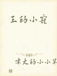 王的小宠
