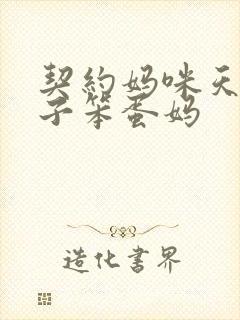 契约妈咪天才儿子笨蛋妈