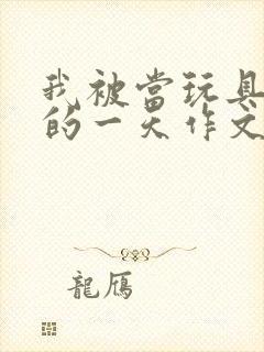 我被当玩具发泄的一天作文