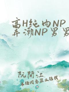 高H纯肉NP 弄潮NP男男