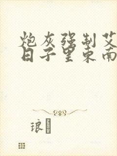 炮灰强制艾草的日子里东南枝小说