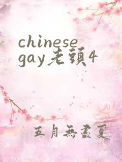 chinesegay老头4