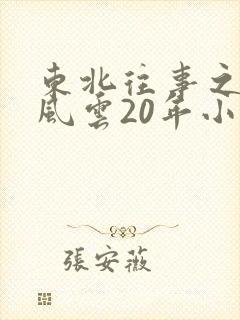 东北往事之黑道风云20年小说