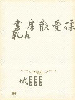 书房欢爱揉捏娇乳h