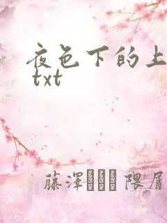 夜色下的上海滩 txt