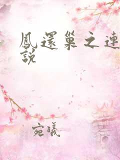 凤还巢之连城小说