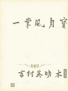 一掌风月宝鉴