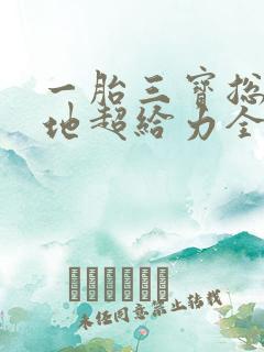 一胎三宝总裁爹地超给力全文免费阅读