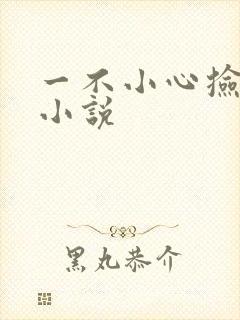 一不小心捡到爱小说