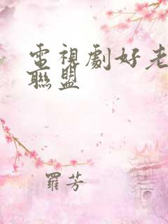 电视剧好老婆大联盟