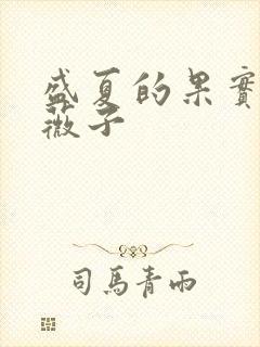 盛夏的果实 小薇子