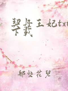 契丹王妃txt下载