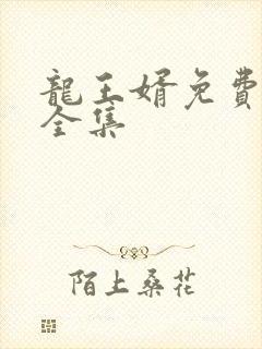 龙王婿免费完结全集