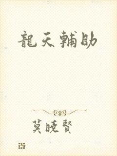 龙天辅助