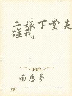 二嫁下堂夫君别碰我
