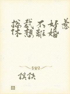 总裁不好惹女人休想离婚