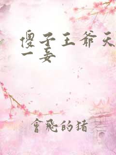 傻子王爷天下第一妾