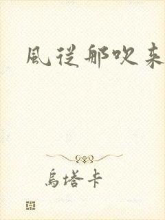风从那吹来小说