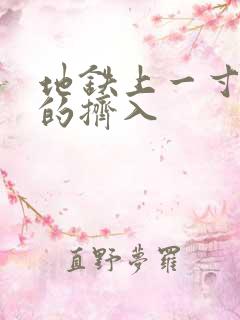 地铁上一寸一寸的挤入