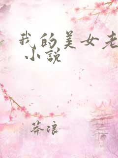 我的美女老婆们 小说