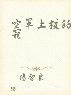 空军上校的邪魅宠