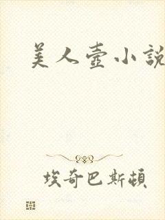 美人壶小说