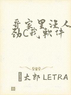 哥家里没人使点劲C我软件